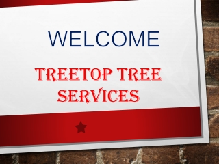 TreeTop Tree Services