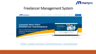 Freelancer Management System