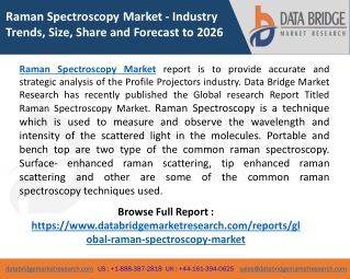 Raman Spectroscopy Market