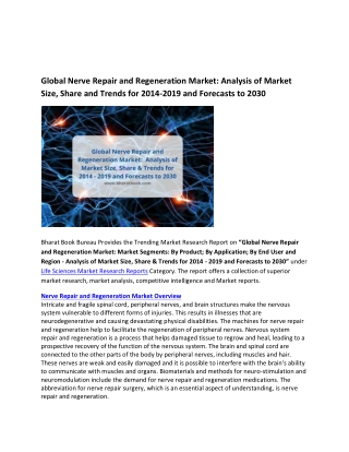 Global Nerve Repair and Regeneration Market Research Report 2019-2030