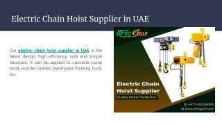 Electric Chain Hoist Supplier in UAE