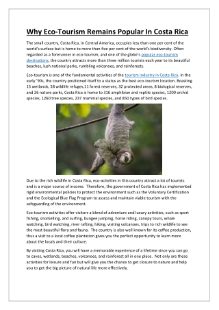 Why Eco-Tourism Remains Popular In Costa Rica