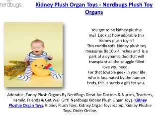 Neuron Plush Organ Toys - Neuron Plushie Organ Toys Nerdbugs Plush Toy Organs