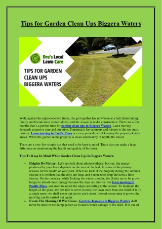 Tips for Garden Clean Ups Biggera Waters | Lawn Moving in Pacific Pines
