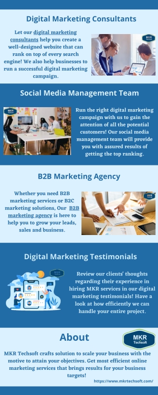 Digital Marketing Consultants Infographic