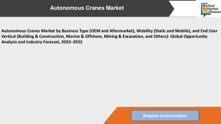 Autonomous Cranes Market Future Prospects and Opportunity Assessment Upto 2032