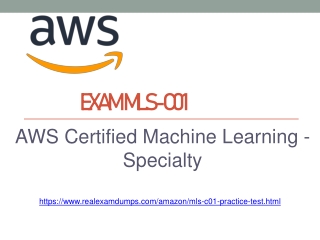 MLS-C01 Questions Answers - MLS-C01 Dumps