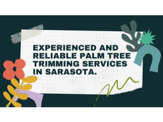 Experienced and Reliable Palm Tree Trimming Services in Sarasota