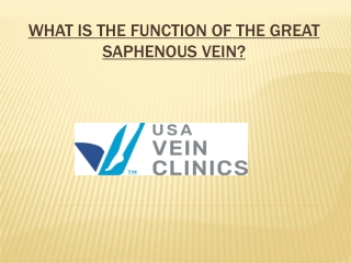 What is the Function of the Great Saphenous Vein