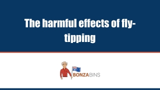 Why Fly-Tipping is a Bad Idea -  Bonza Bins