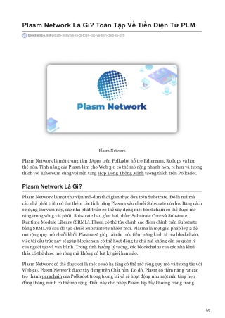 Plasm Network Là Gì Toàn Tập Về Tiền Điện Tử PLM