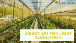 UbiBot Store Presenting SP1 for Light Regulation