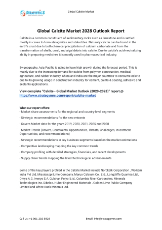 2021 Calcite Market Global Analysis Report