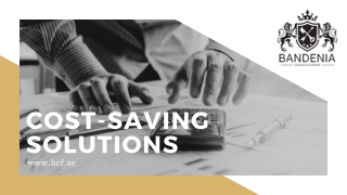 Cost Saving Solutions | Bandenia Challenger Bank