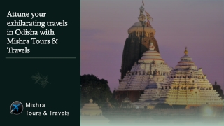 Attune your exhilarating travels in Odisha with Mishra Tours & Travels