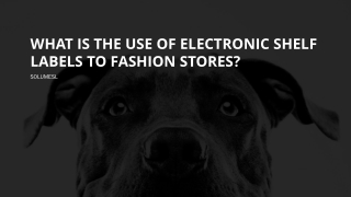 What is the Use of Electronic Shelf Labels to Fashion Stores