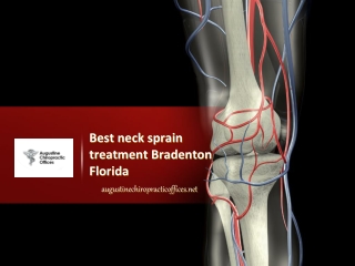 Best neck sprain treatment Bradenton Florida