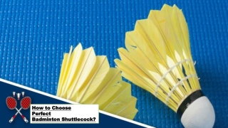 How to Choose Perfect Badminton Shuttlecock