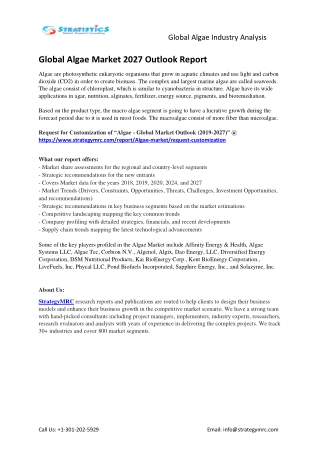 Global Algae Market Report Key Players Analysis