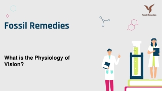 Introduction about Physiology of Vision in Human – Fossil Remedies