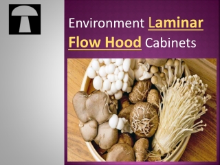 Environment laminar flow hood cabinets - Planet-of-mushrooms