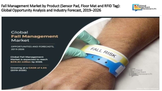 Fall Management Market - Top Investment Segments Complete Guide