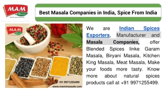 Best Masala Companies in India, Spice From India