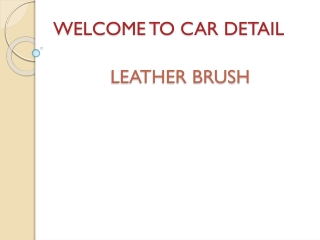 LEATHER BRUSH