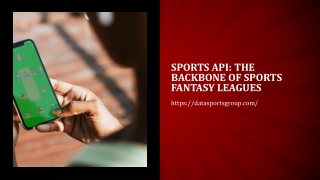 Sports API The Backbone of Sports Fantasy Leagues