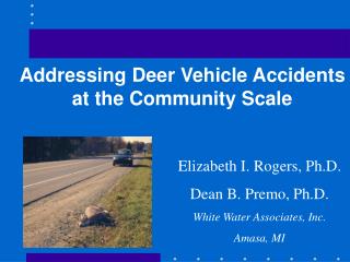 Addressing Deer Vehicle Accidents at the Community Scale
