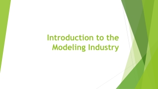 Introduction to the Modeling Industry