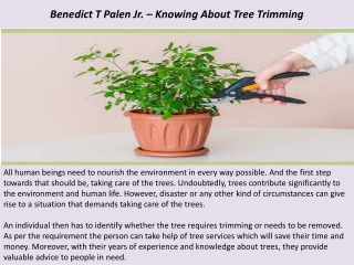 Benedict T Palen Jr. – Knowing About Tree Trimming