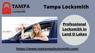 Professional Locksmith in Land O Lakes