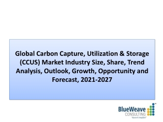 Carbon Capture, Utilization & Storage (CCUS) Market Analysis