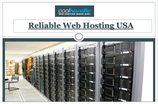 Reliable Web Hosting USA