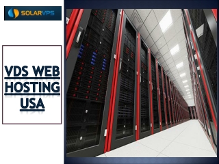 VDS Web Hosting USA