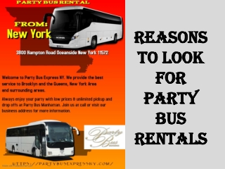 Reasons To Look for Party Bus Rentals