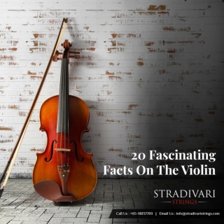 20 Fascinating Facts On The Violin