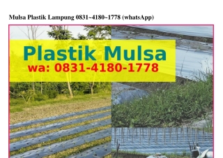 Mulsa Plastik Lampung