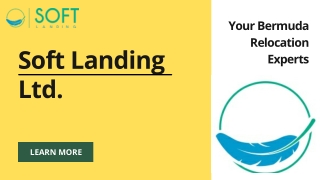 Thinking Of Relocation Hire The Professional – Soft Landing