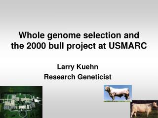 Whole genome selection and the 2000 bull project at USMARC