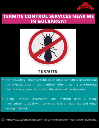 TERMITE CONTROL SERVICES NEAR ME IN GULBARGA-pepstoppestcontrol_