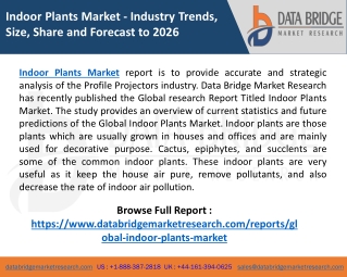 Indoor Plants Market set to witness a substantial CAGR in the forecast period of 2019- 2026