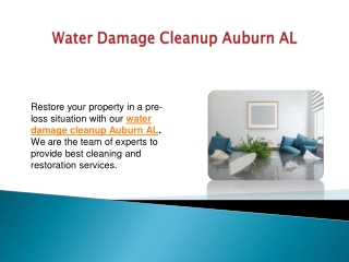 Water Damage Cleanup Auburn AL