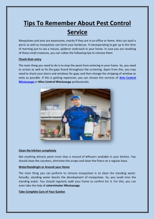 Tips To Remember About Pest Control Service (1)
