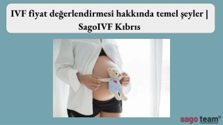 IVF fiyat değerlendirmesi hakkında temel şeyler | SagoIVF Kıbrıs