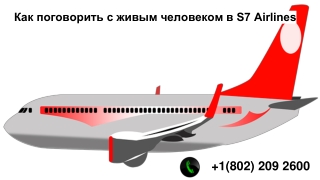 Как поговорить с живым человеком в S7 Airlines