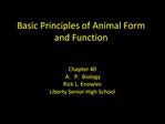 Basic Principles of Animal Form and Function