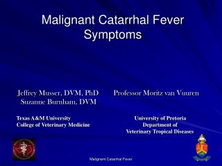 Malignant Catarrhal Fever Symptoms