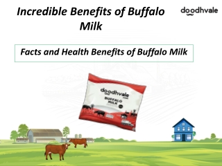 Facts and Benefits of Buffalo Milk